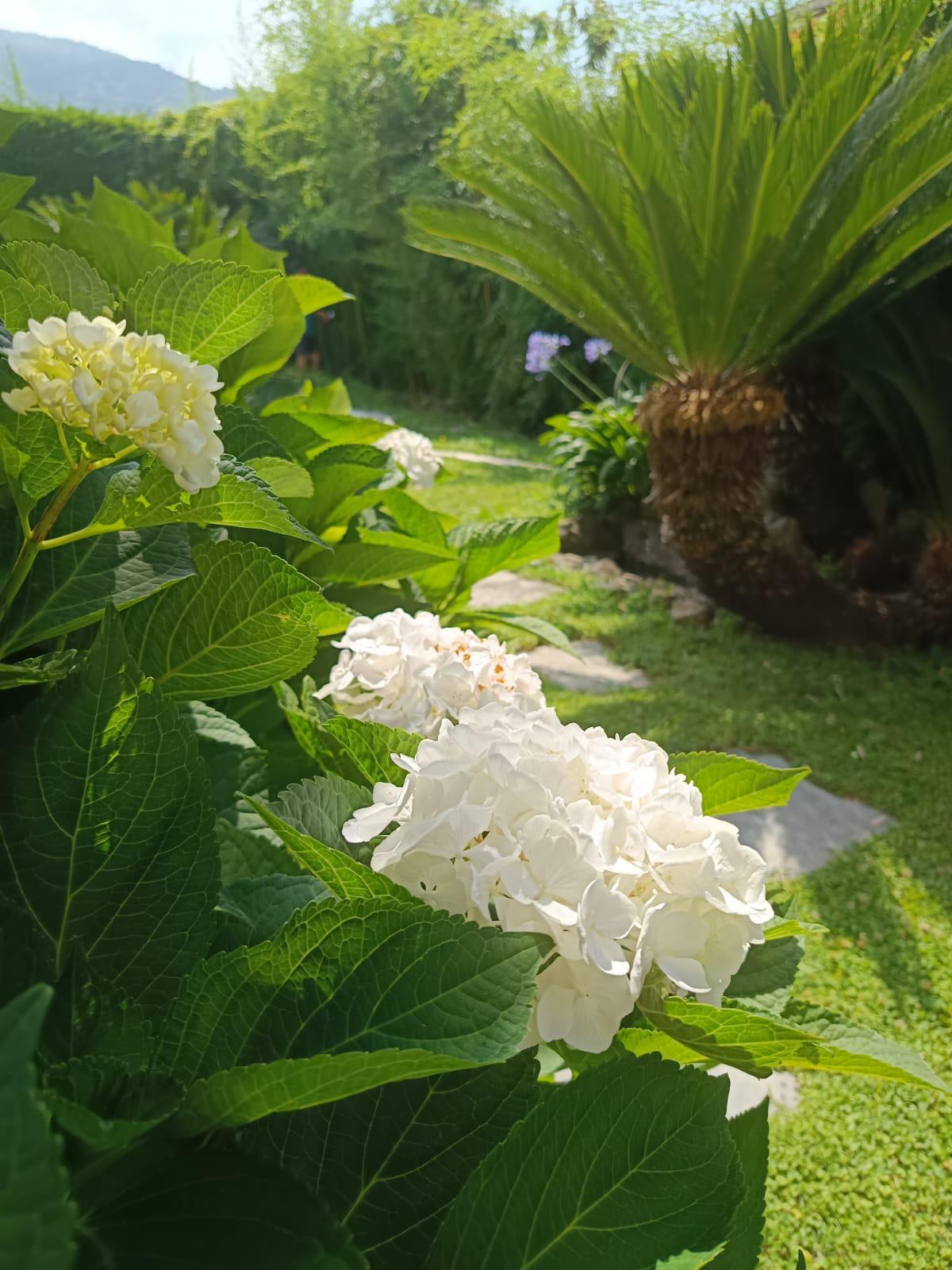 PHOTO-2026-07-02-18-19-39 (1)