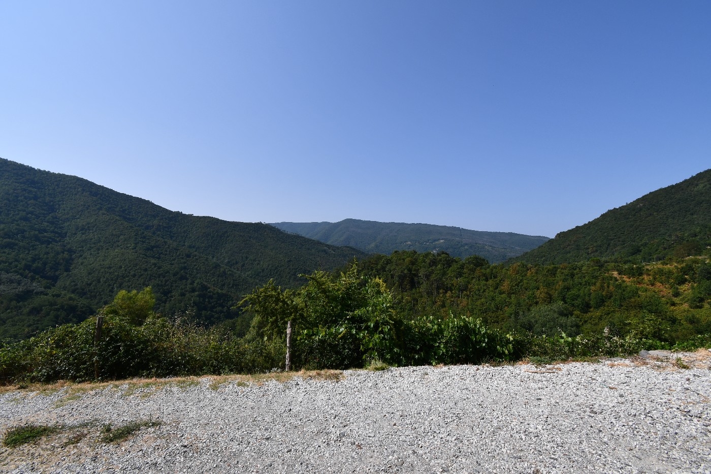 DSC_1189